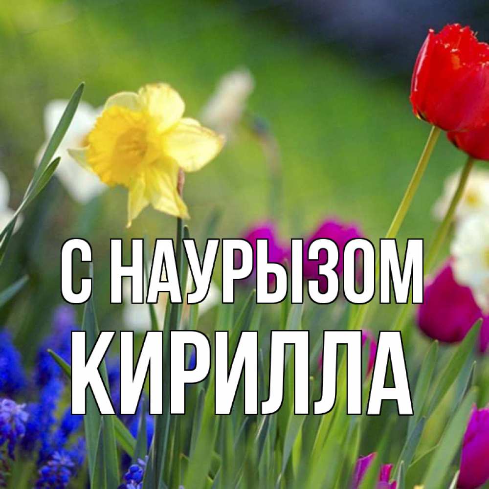 Открытка на каждый день с именем, Кирилла С наурызом праздник весны наурыз 3 Прикольная открытка с пожеланием онлайн скачать бесплатно 