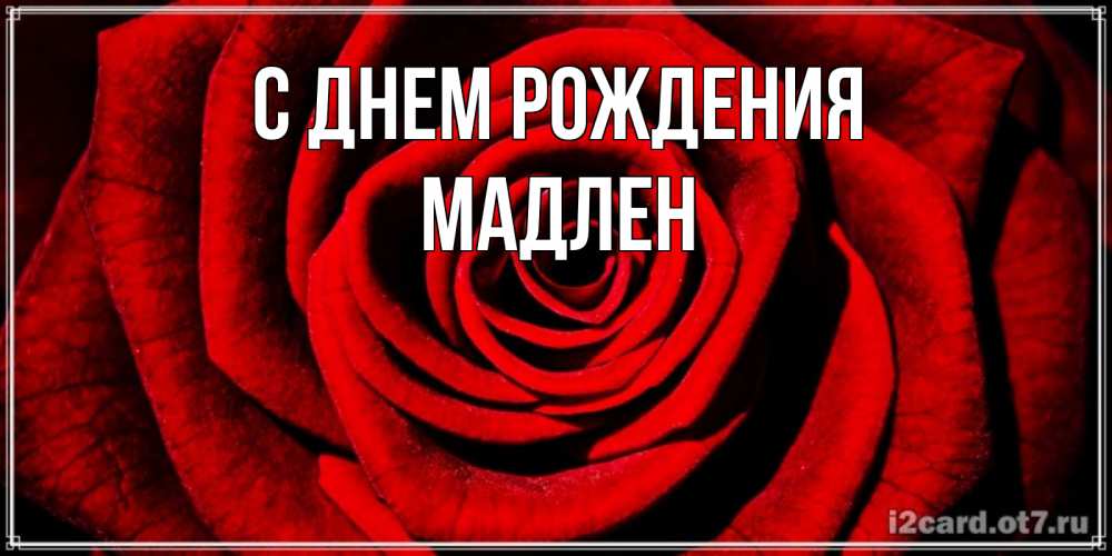 Открытка на каждый день с именем, Мадлен С днем рождения алая роза Прикольная открытка с пожеланием онлайн скачать бесплатно 