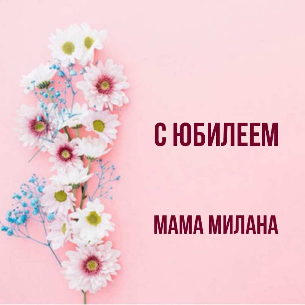 Открытка на каждый день с именем, Мама-Милана С юбилеем Родная моя с днем рождения тебя картинка с цветами белыми и голубыми Прикольная открытка с пожеланием онлайн скачать бесплатно 