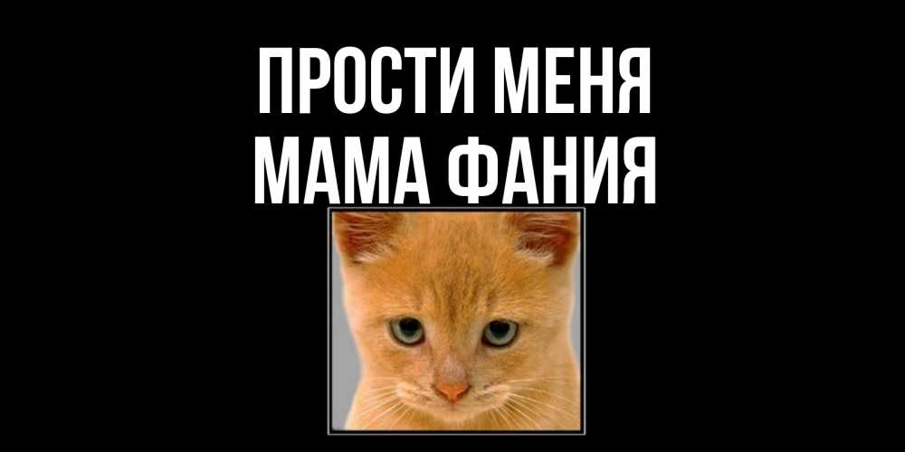 Открытка на каждый день с именем, Мама-Фания Прости меня рыжий грустный кот просит прощения Прикольная открытка с пожеланием онлайн скачать бесплатно 
