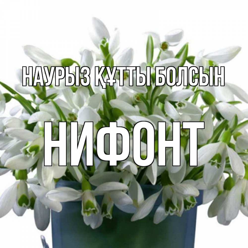 Открытка на каждый день с именем, Нифонт Наурыз құтты болсын цветы к наурызу Прикольная открытка с пожеланием онлайн скачать бесплатно 
