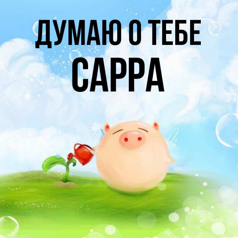 Открытка на каждый день с именем, Сарра Думаю о тебе позитивная свинюшка Прикольная открытка с пожеланием онлайн скачать бесплатно 