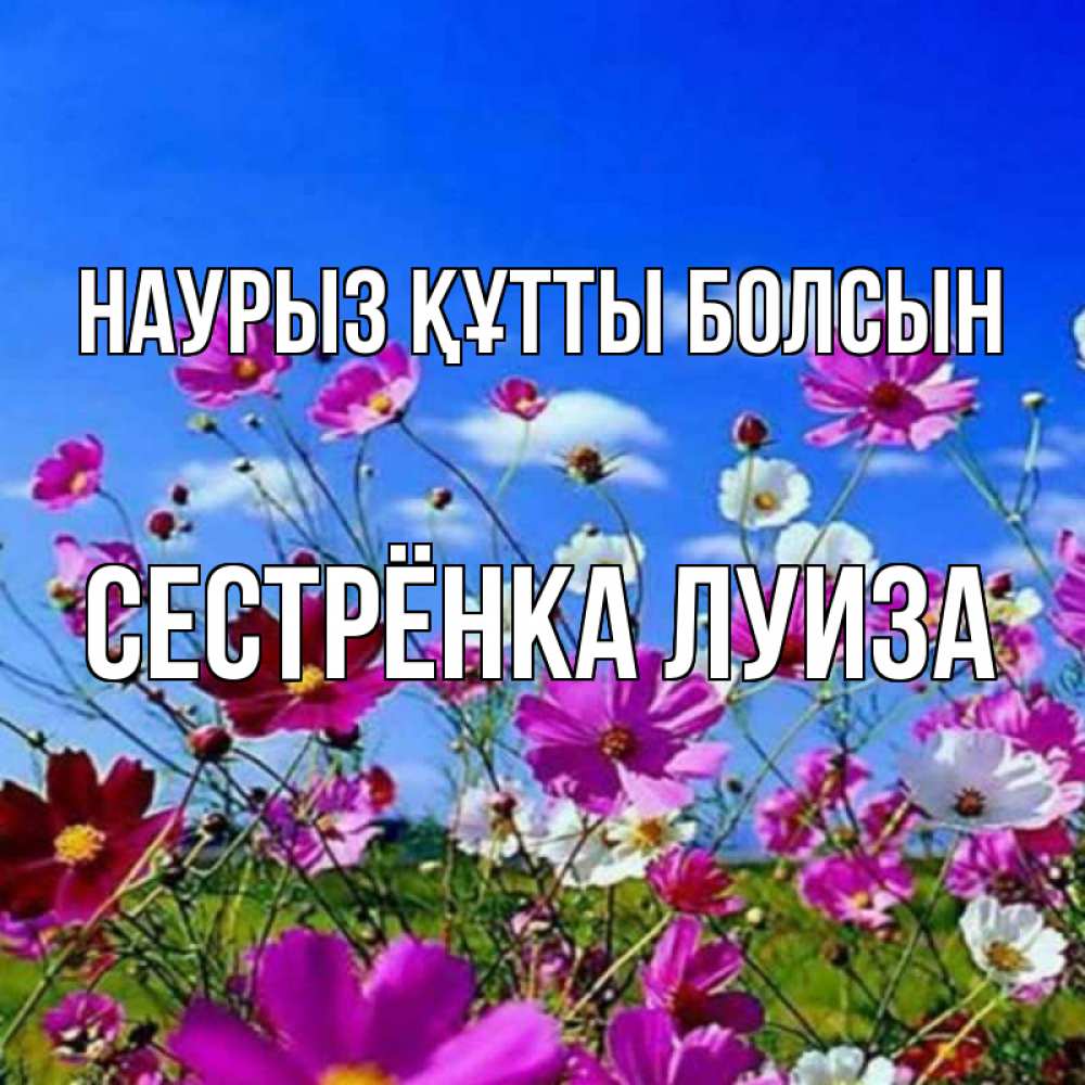 Открытка на каждый день с именем, Сестрёнка-Луиза Наурыз құтты болсын цветы Прикольная открытка с пожеланием онлайн скачать бесплатно 