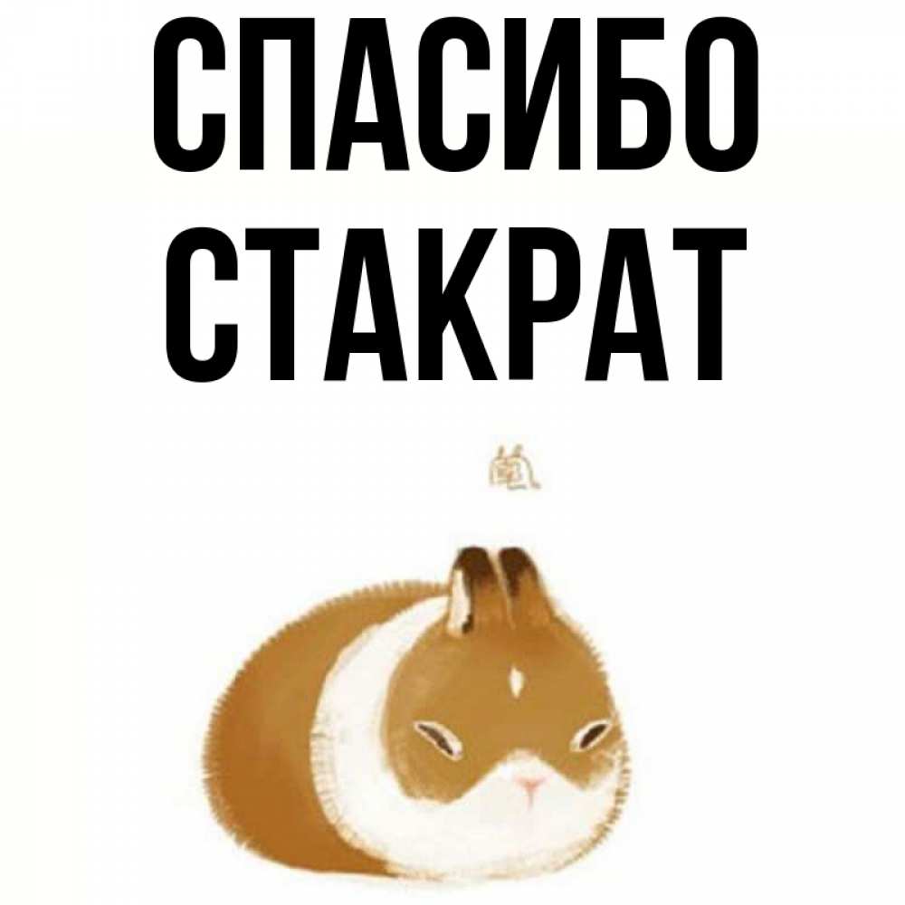 Открытка на каждый день с именем, Стакрат Спасибо коричнево белый домашний питомец Прикольная открытка с пожеланием онлайн скачать бесплатно 