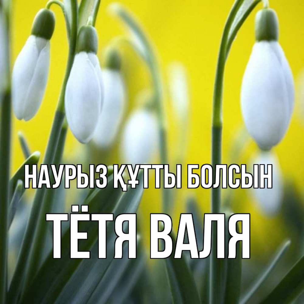 Открытка на каждый день с именем, Тётя-Валя Наурыз құтты болсын весенние цветы Прикольная открытка с пожеланием онлайн скачать бесплатно 