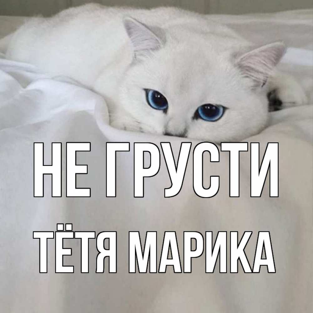 Открытка на каждый день с именем, Тётя-Марика Не грусти белый кот с голубыми глазами на белоснежной кровати Прикольная открытка с пожеланием онлайн скачать бесплатно 