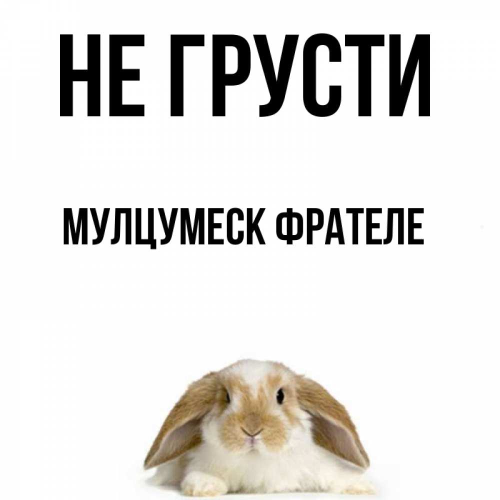 Сашка не грусти картинки