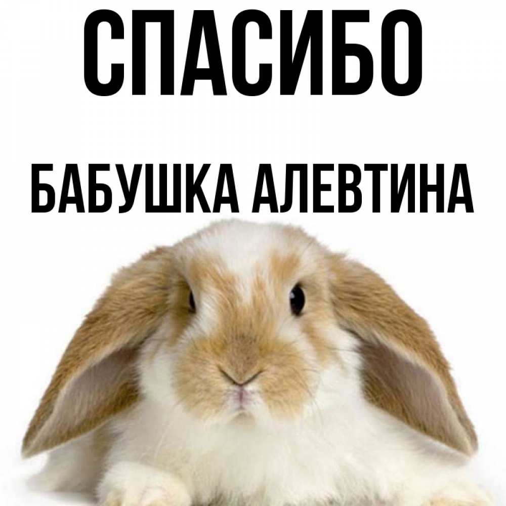 Открытка на каждый день с именем, Бабушка-Алевтина Спасибо коричнево белый заяц Прикольная открытка с пожеланием онлайн скачать бесплатно 