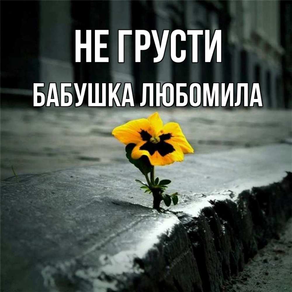 Открытка на каждый день с именем, Бабушка-Любомила Не грусти не сдавайся Прикольная открытка с пожеланием онлайн скачать бесплатно 