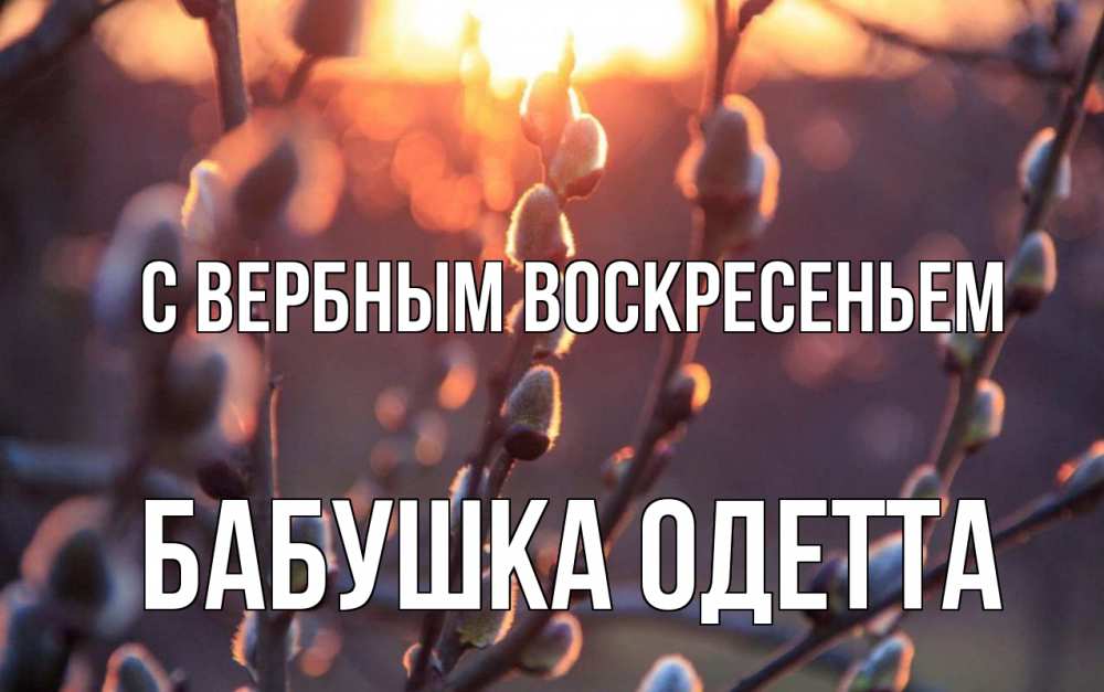 Открытка на каждый день с именем, Бабушка-Одетта С вербным воскресеньем верба Прикольная открытка с пожеланием онлайн скачать бесплатно 