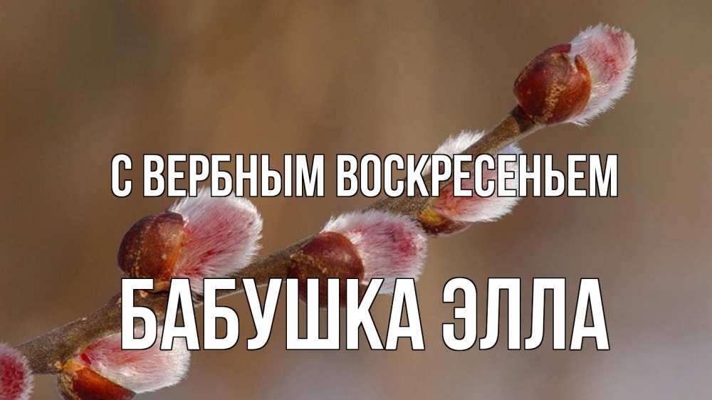 Открытка на каждый день с именем, Бабушка-Элла С вербным воскресеньем верба Прикольная открытка с пожеланием онлайн скачать бесплатно 