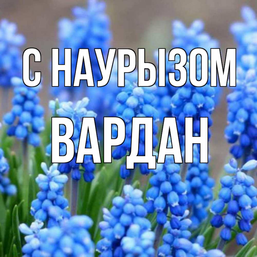 Открытка на каждый день с именем, Вардан С наурызом Поздравительная открытка для женщин с цветами на праздничную дату Прикольная открытка с пожеланием онлайн скачать бесплатно 