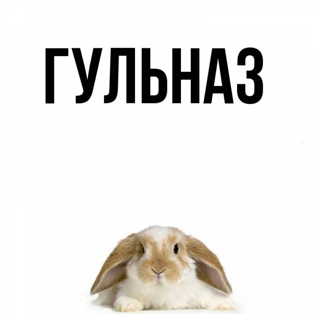 Открытка на каждый день с именем, Гульназ Главная коричнево белый заяц с большими ушками Прикольная открытка с пожеланием онлайн скачать бесплатно 