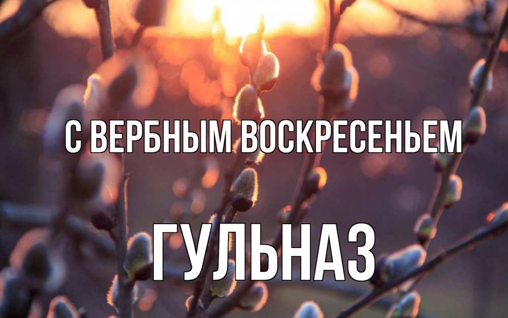 Открытка на каждый день с именем, Гульназ С вербным воскресеньем верба Прикольная открытка с пожеланием онлайн скачать бесплатно 