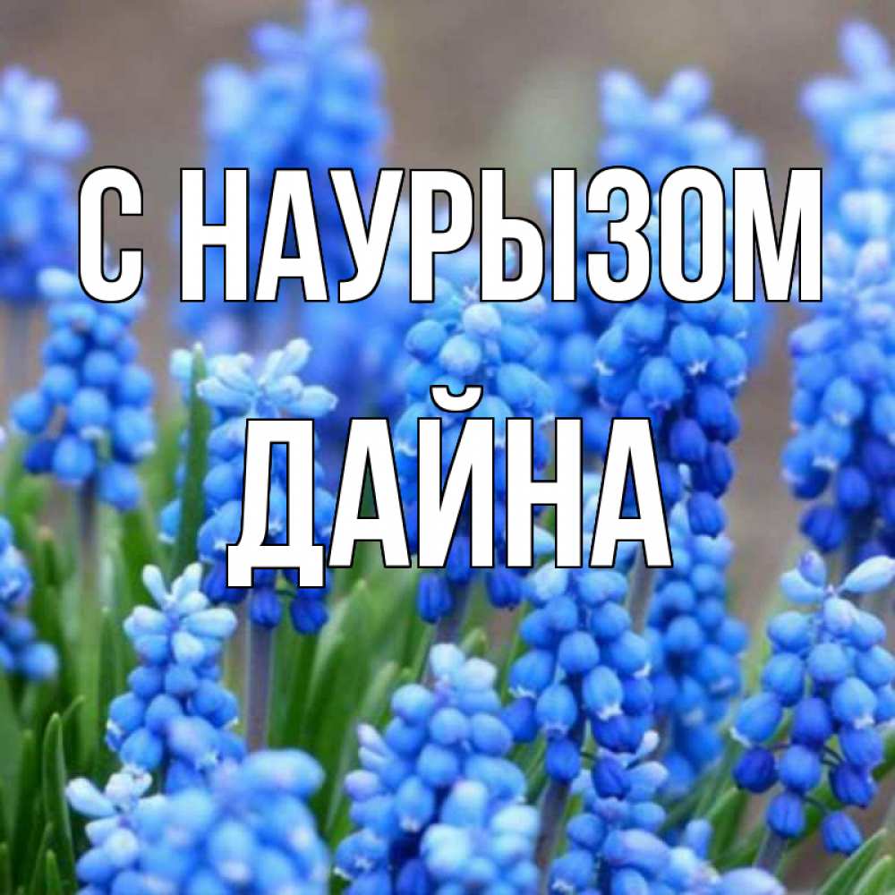 Открытка на каждый день с именем, Дайна С наурызом Поздравительная открытка для женщин с цветами на праздничную дату Прикольная открытка с пожеланием онлайн скачать бесплатно 