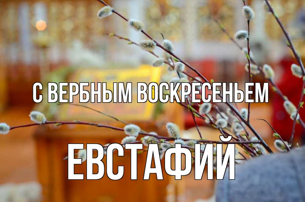 Открытка на каждый день с именем, Евстафий С вербным воскресеньем верба Прикольная открытка с пожеланием онлайн скачать бесплатно 