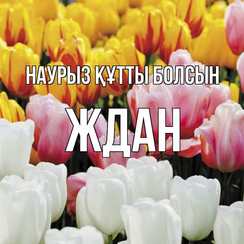 Открытка на каждый день с именем, Ждан Наурыз құтты болсын разноцветные цветы Прикольная открытка с пожеланием онлайн скачать бесплатно 