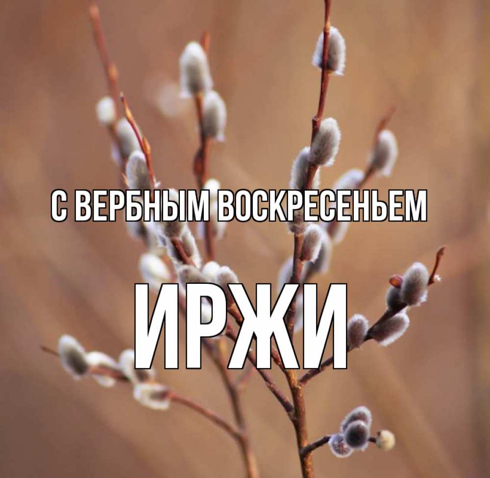 Открытка на каждый день с именем, Иржи С вербным воскресеньем верба Прикольная открытка с пожеланием онлайн скачать бесплатно 
