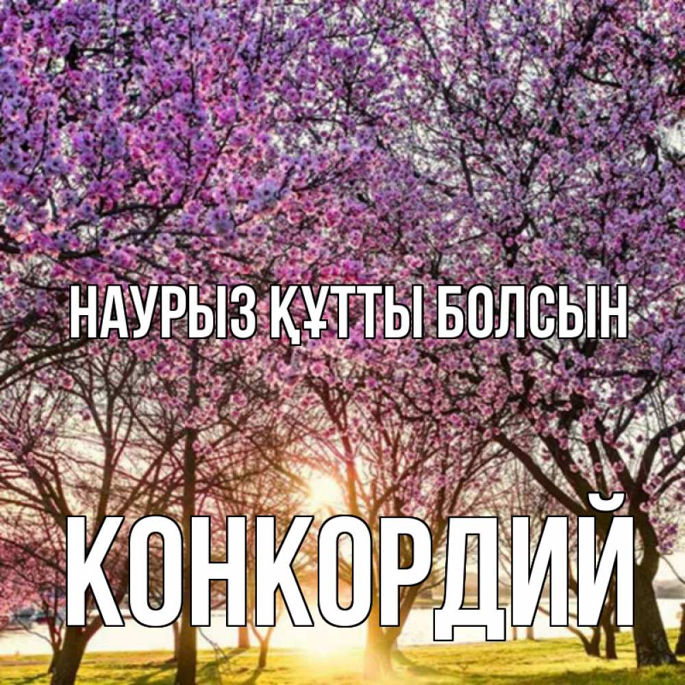 Открытка на каждый день с именем, Конкордий Наурыз құтты болсын наурыз Прикольная открытка с пожеланием онлайн скачать бесплатно 