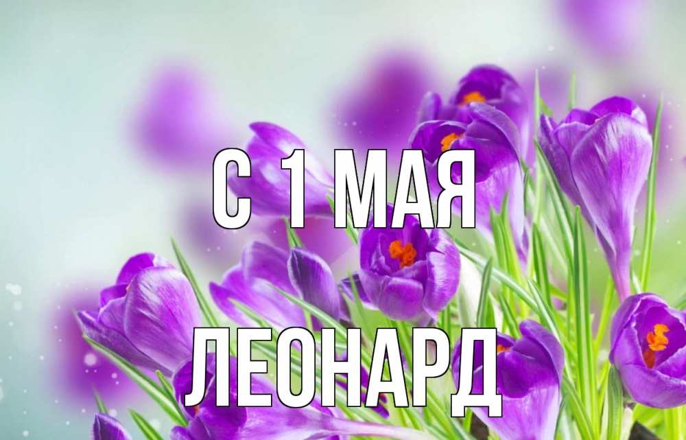 Открытка на каждый день с именем, Леонард С 1 мая 1 мая Прикольная открытка с пожеланием онлайн скачать бесплатно 