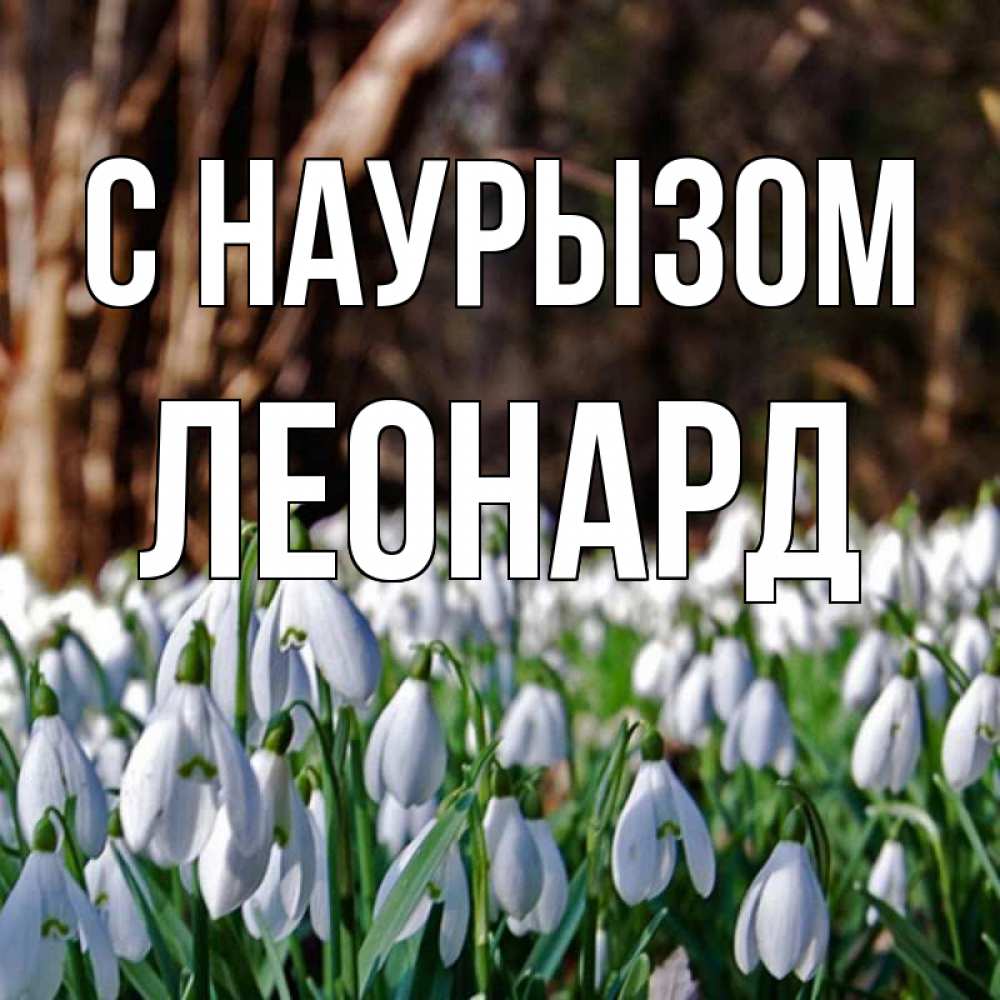 Открытка на каждый день с именем, Леонард С наурызом с подснежниками 1 Прикольная открытка с пожеланием онлайн скачать бесплатно 