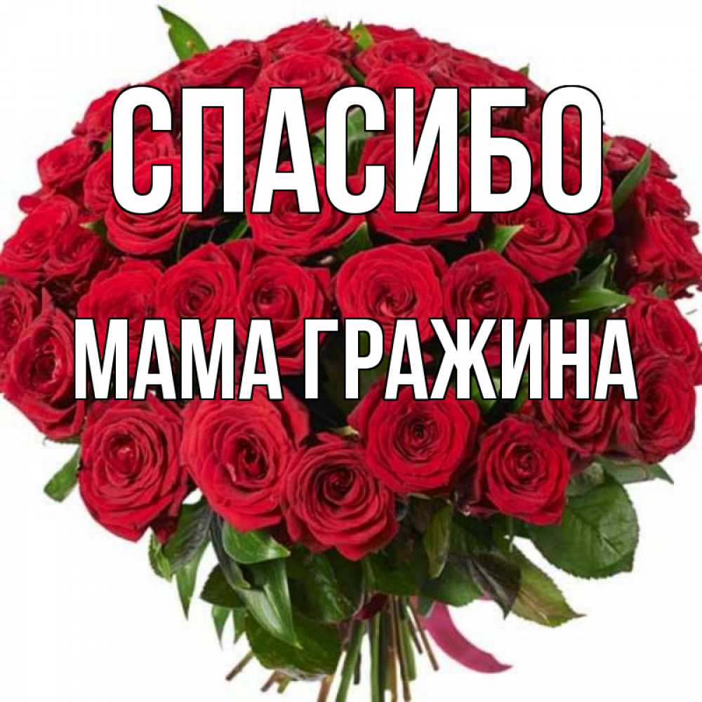 Открытка на каждый день с именем, Мама-Гражина Спасибо букет красных роз Прикольная открытка с пожеланием онлайн скачать бесплатно 