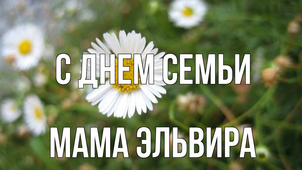 Открытка на каждый день с именем, Мама-Эльвира С днем семьи с днем семьи Прикольная открытка с пожеланием онлайн скачать бесплатно 