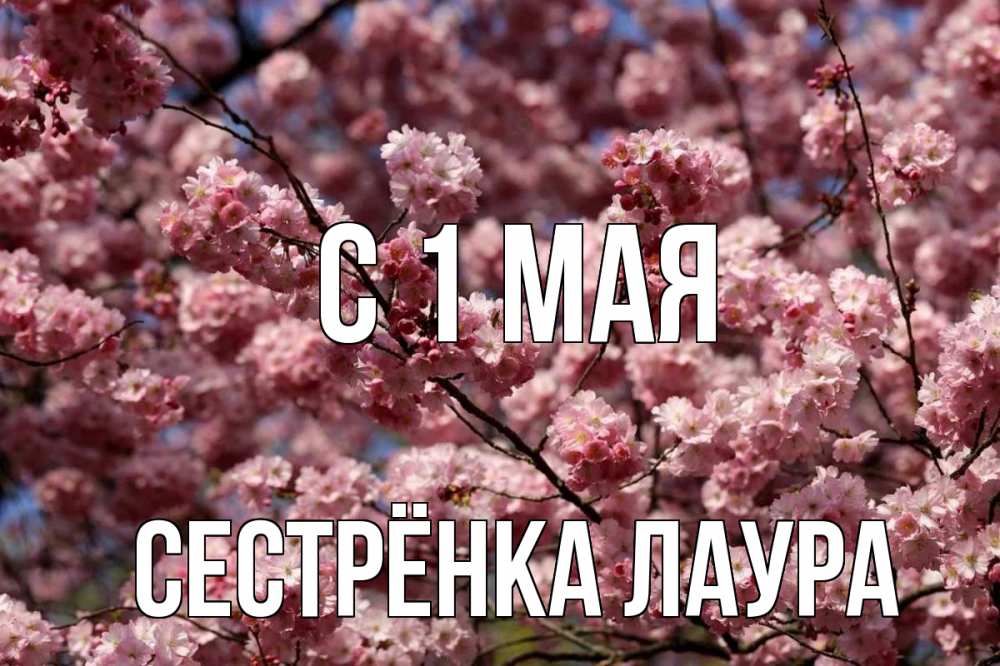 Открытка на каждый день с именем, Сестрёнка-Лаура С 1 мая С 1 мая Прикольная открытка с пожеланием онлайн скачать бесплатно 