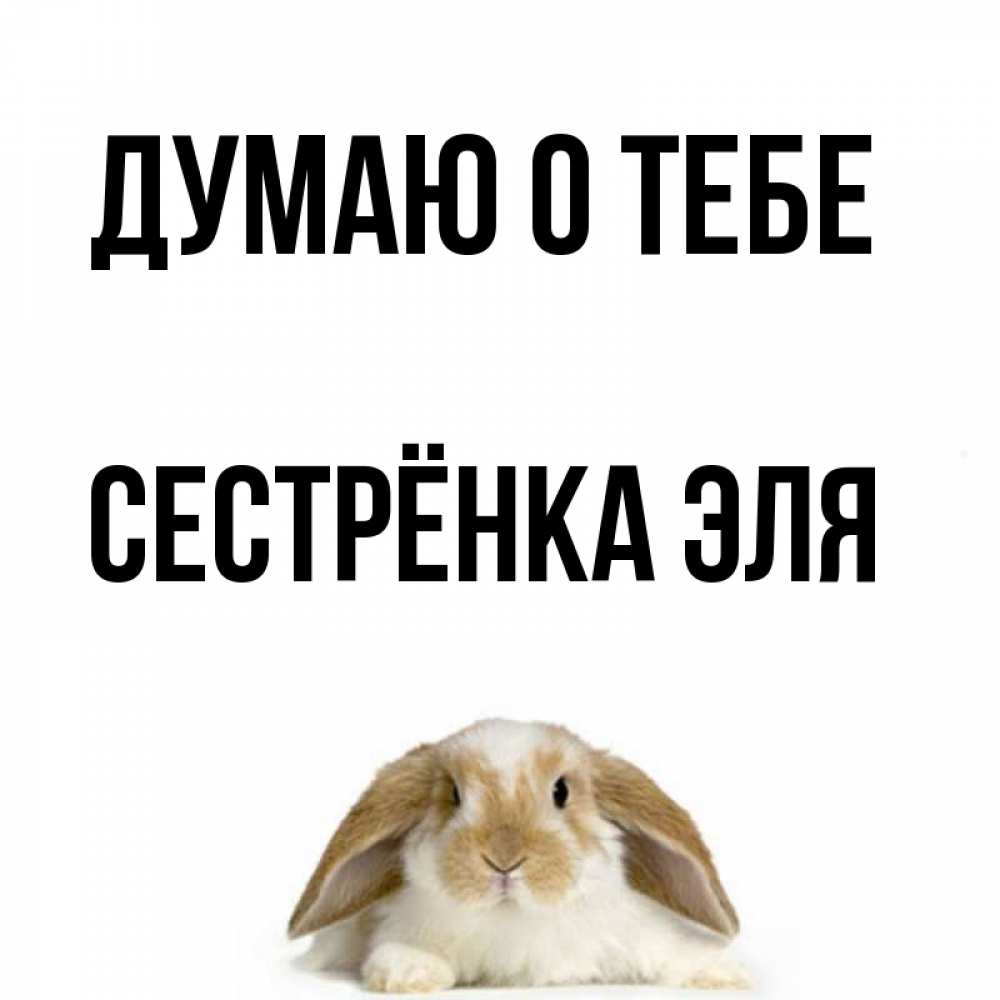 Открытка на каждый день с именем, Сестрёнка-Эля Думаю о тебе подписать своими руками онлайн Прикольная открытка с пожеланием онлайн скачать бесплатно 