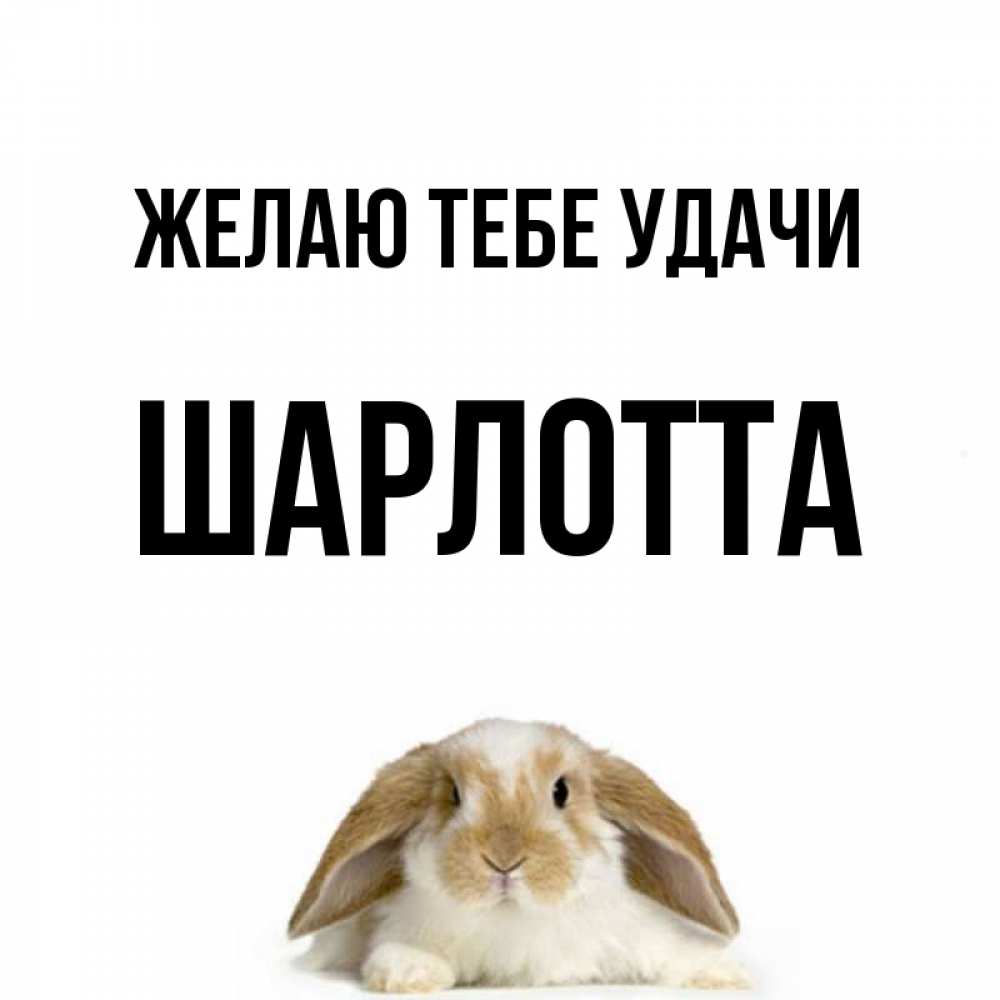 Открытка на каждый день с именем, Шарлотта Желаю тебе удачи открытки с произвольным текстом который можно вставить в открытку и создать ее самостоятельно бесплатно онлайн Прикольная открытка с пожеланием онлайн скачать бесплатно 