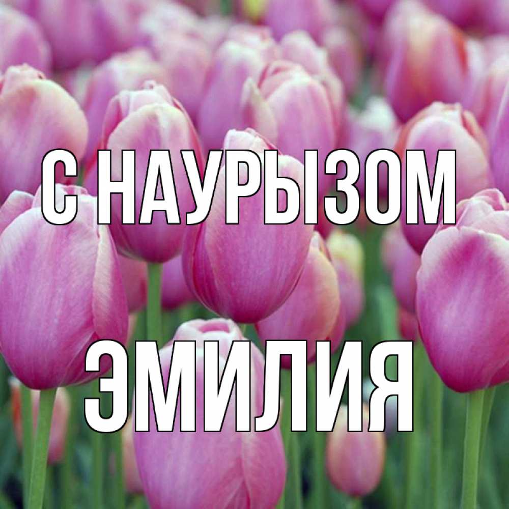 Открытка на каждый день с именем, Эмилия С наурызом праздник весны наурыз 69 Прикольная открытка с пожеланием онлайн скачать бесплатно 
