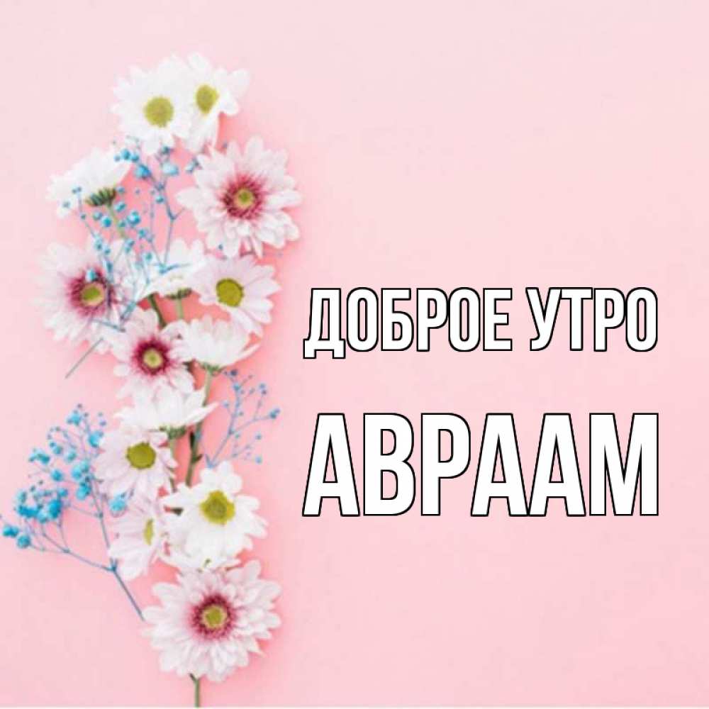 Открытка на каждый день с именем, Авраам Доброе утро цветы с подписью Прикольная открытка с пожеланием онлайн скачать бесплатно 