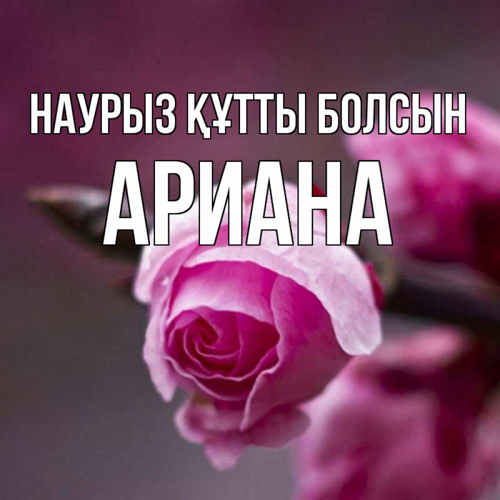 Открытка на каждый день с именем, Ариана Наурыз құтты болсын весна Прикольная открытка с пожеланием онлайн скачать бесплатно 