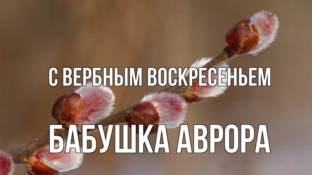 Открытка на каждый день с именем, Бабушка-Аврора С вербным воскресеньем верба Прикольная открытка с пожеланием онлайн скачать бесплатно 