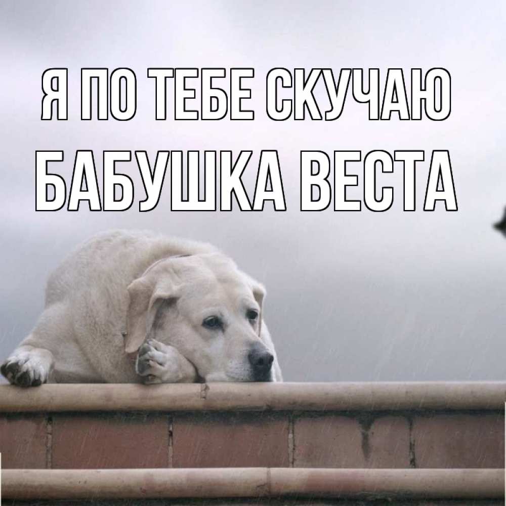 Открытка на каждый день с именем, Бабушка-Веста Я по тебе скучаю ждет Прикольная открытка с пожеланием онлайн скачать бесплатно 