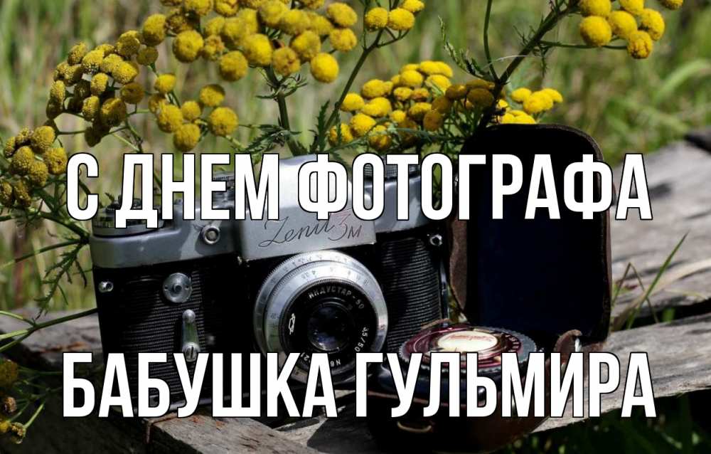 Открытка на каждый день с именем, Бабушка-Гульмира С днем фотографа с днем фотографа Прикольная открытка с пожеланием онлайн скачать бесплатно 
