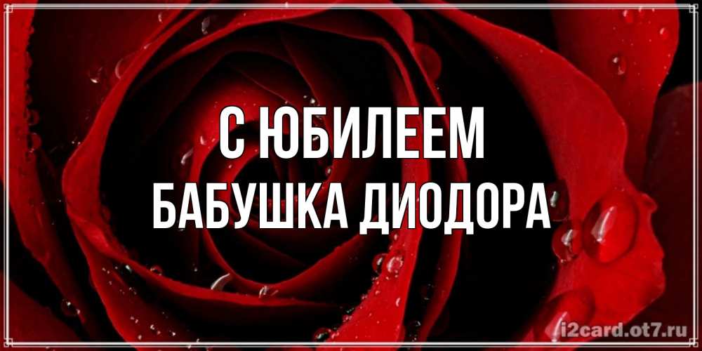 Открытка на каждый день с именем, Бабушка-Диодора С юбилеем крупная бордовая роза Прикольная открытка с пожеланием онлайн скачать бесплатно 