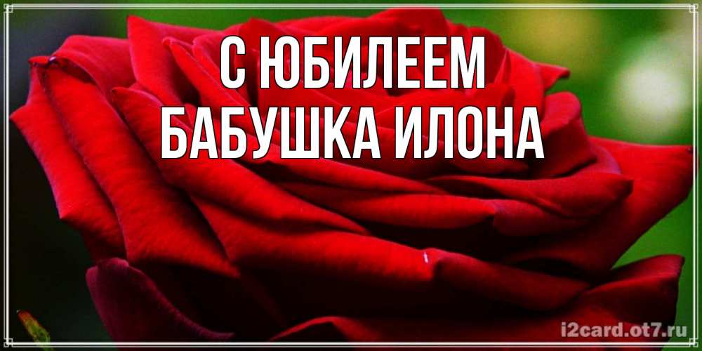 Открытка на каждый день с именем, Бабушка-Илона С юбилеем розочка очень красивая Прикольная открытка с пожеланием онлайн скачать бесплатно 