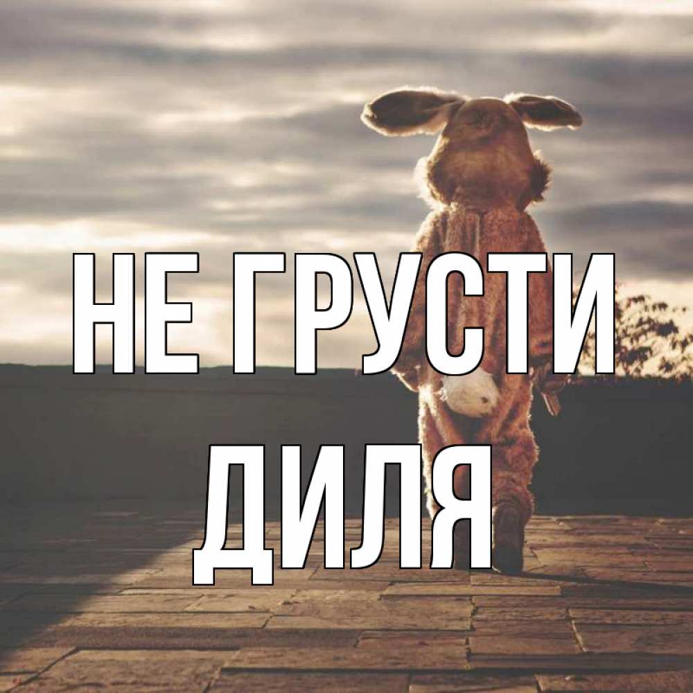 Открытка на каждый день с именем, Диля Не грусти со спины Прикольная открытка с пожеланием онлайн скачать бесплатно 
