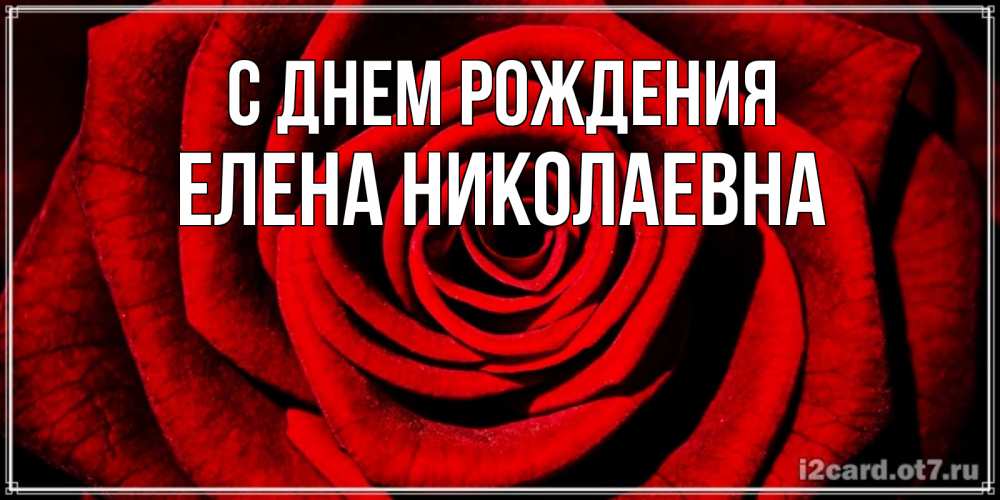 Открытка на каждый день с именем, Елена-Николаевна С днем рождения алая роза Прикольная открытка с пожеланием онлайн скачать бесплатно 
