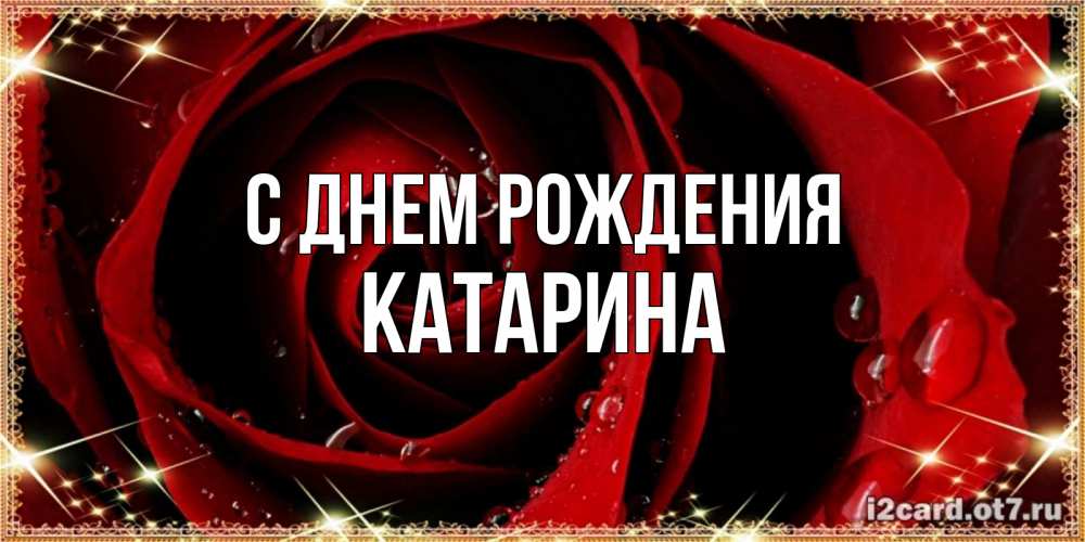 Открытка на каждый день с именем, Катарина С днем рождения цветок в росе на день рождения Прикольная открытка с пожеланием онлайн скачать бесплатно 