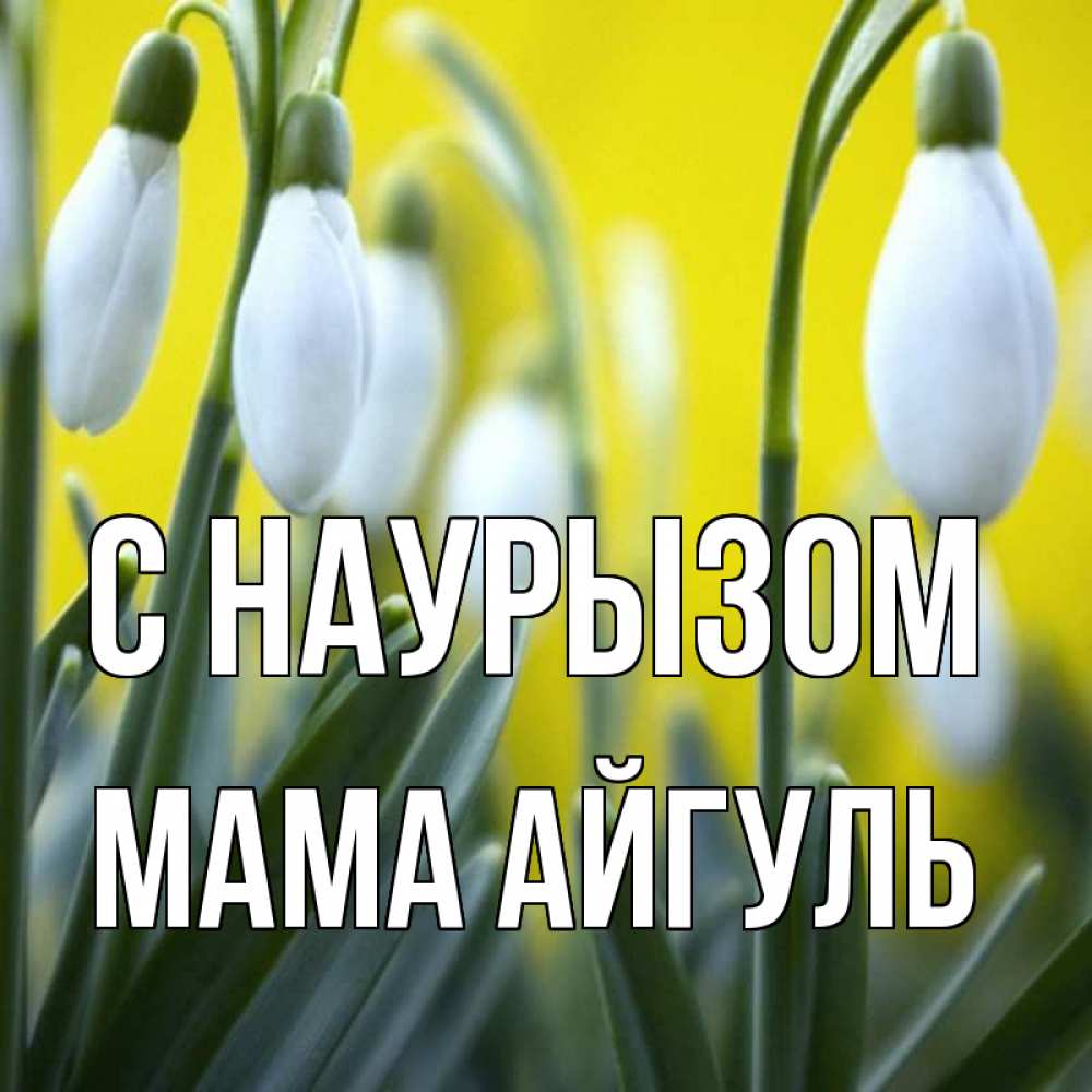 Открытка на каждый день с именем, Мама-Айгуль С наурызом весенние цветы Прикольная открытка с пожеланием онлайн скачать бесплатно 