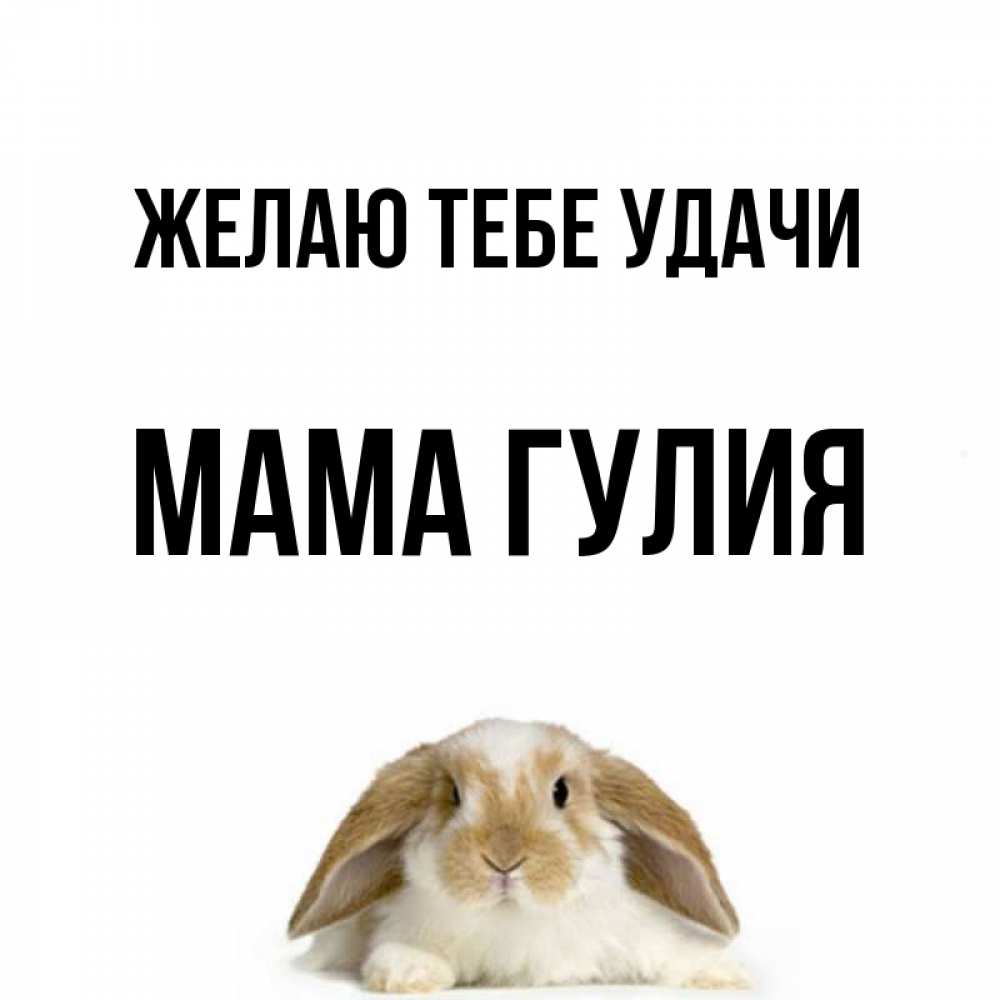 Открытка на каждый день с именем, Мама-Гулия Желаю тебе удачи открытки с произвольным текстом который можно вставить в открытку и создать ее самостоятельно бесплатно онлайн Прикольная открытка с пожеланием онлайн скачать бесплатно 