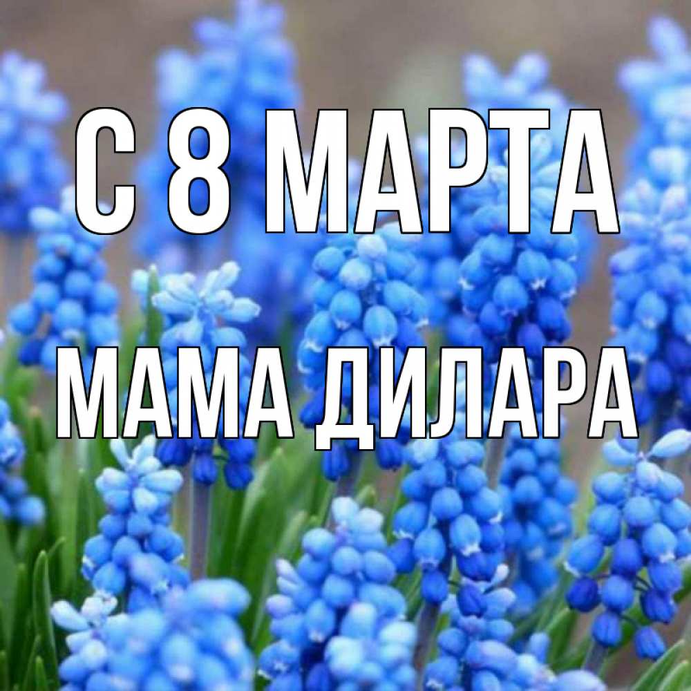 Открытка на каждый день с именем, Мама-Дилара С 8 марта Поздравительная открытка для женщин с цветами на праздничную дату Прикольная открытка с пожеланием онлайн скачать бесплатно 