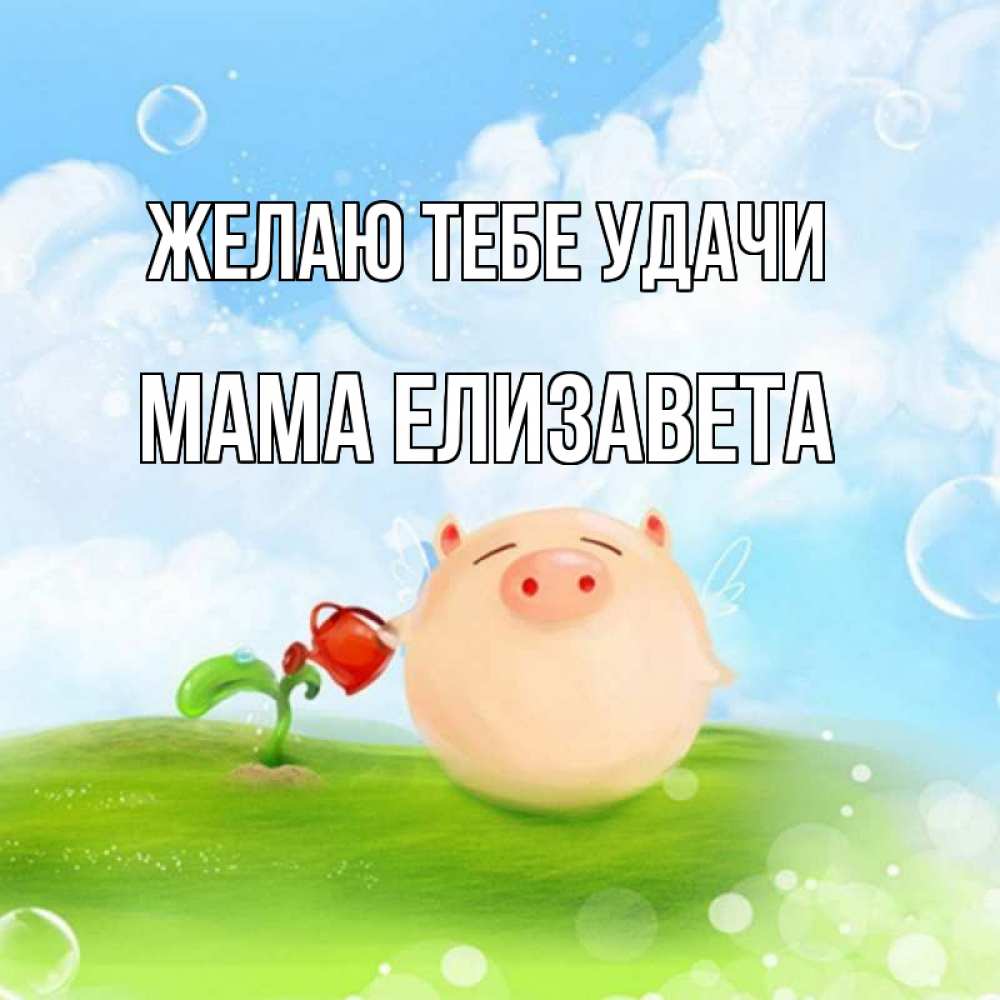 Открытка на каждый день с именем, Мама-Елизавета Желаю тебе удачи поросенок поливает цветок. летнее настроение Прикольная открытка с пожеланием онлайн скачать бесплатно 