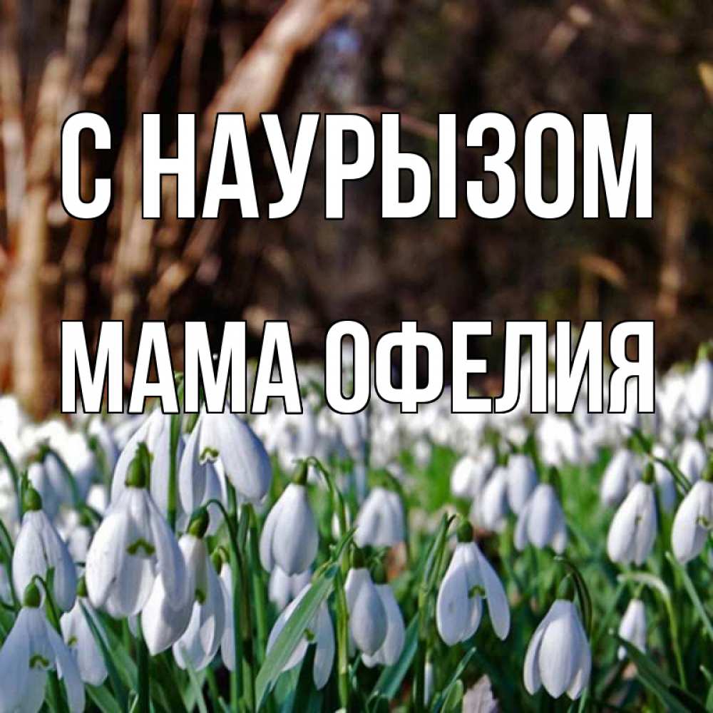 Открытка на каждый день с именем, Мама-Офелия С наурызом с подснежниками 1 Прикольная открытка с пожеланием онлайн скачать бесплатно 