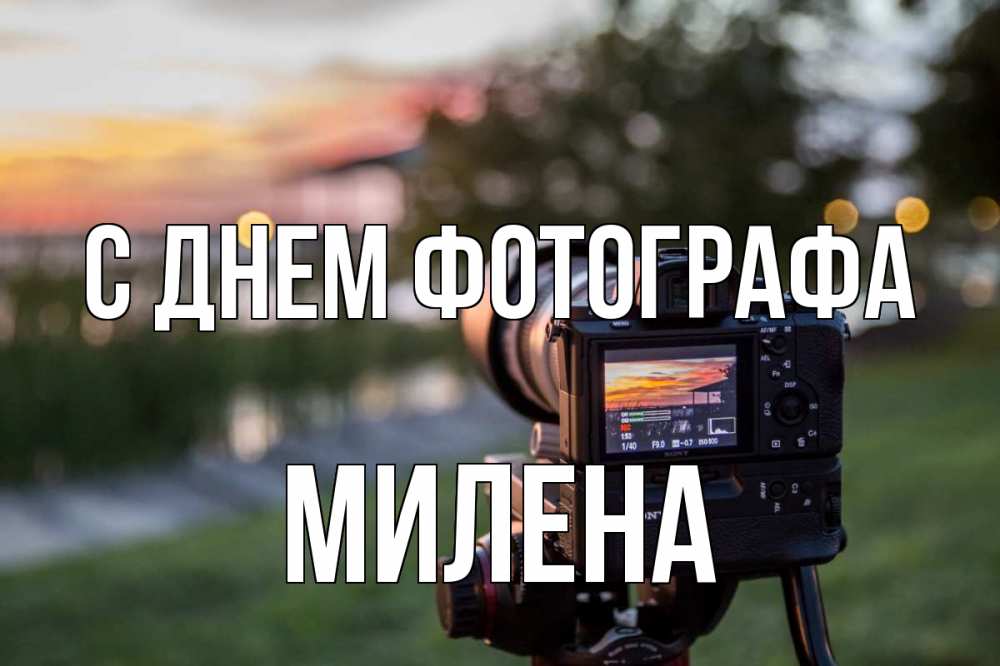 Открытка на каждый день с именем, Милена С днем фотографа с днем фотографа Прикольная открытка с пожеланием онлайн скачать бесплатно 