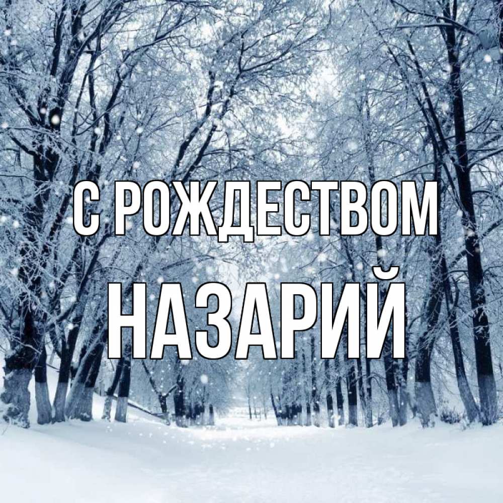 Открытка на каждый день с именем, Назарий С рождеством снег, лес, парк Прикольная открытка с пожеланием онлайн скачать бесплатно 