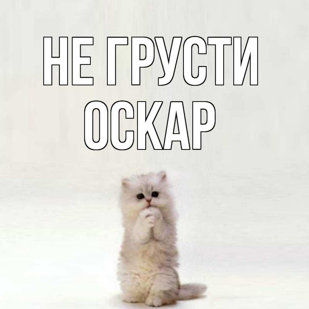 Открытка на каждый день с именем, Оскар Не грусти грустный кот Прикольная открытка с пожеланием онлайн скачать бесплатно 