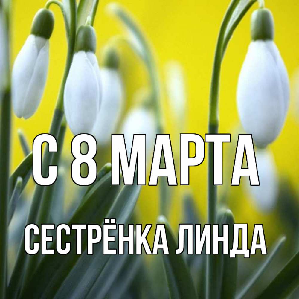 Открытка на каждый день с именем, Сестрёнка-Линда С 8 МАРТА весенние цветы Прикольная открытка с пожеланием онлайн скачать бесплатно 